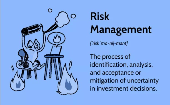 What is Risk management?