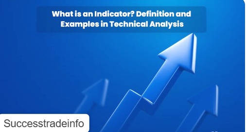 What is indicator?