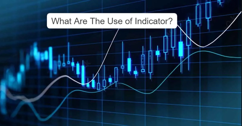 what are the use of indicator